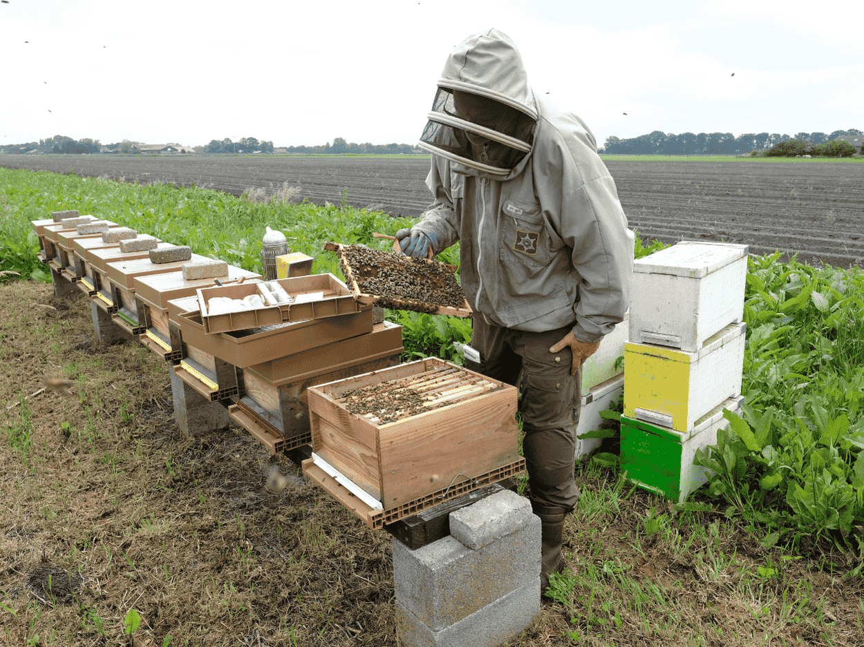 Imker Omgeving Tilburg, Breda, Oosterhout Waalwijk