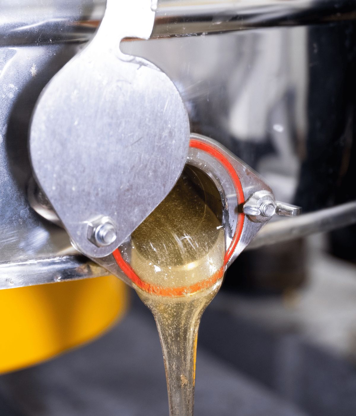 100% Natuurlijke Honing van Honing Brabant