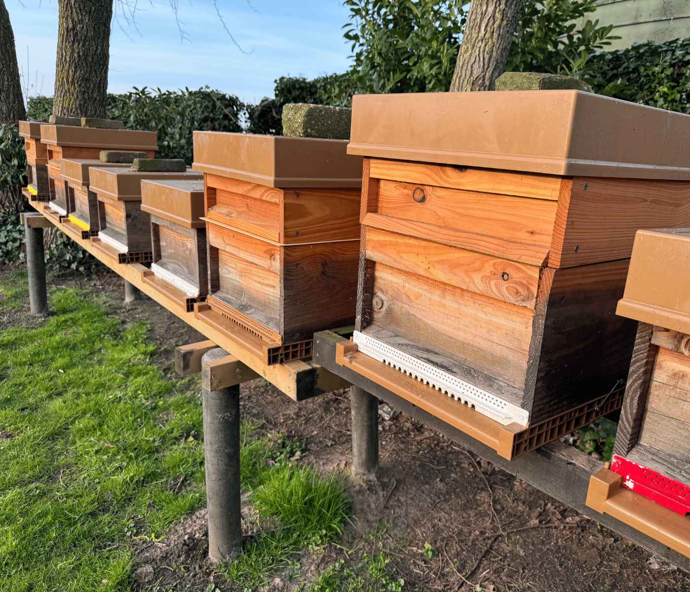 Bijenkasten bij Standplaats Dongen-Vaart van Honing Brabant