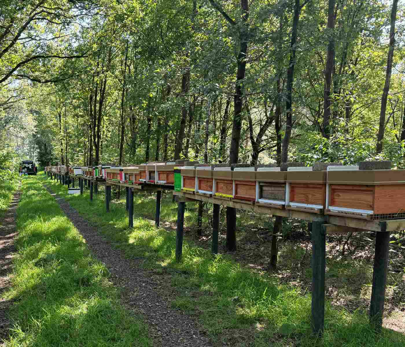 Bijenkasten bij Standplaats in Riel van Honing Brabant