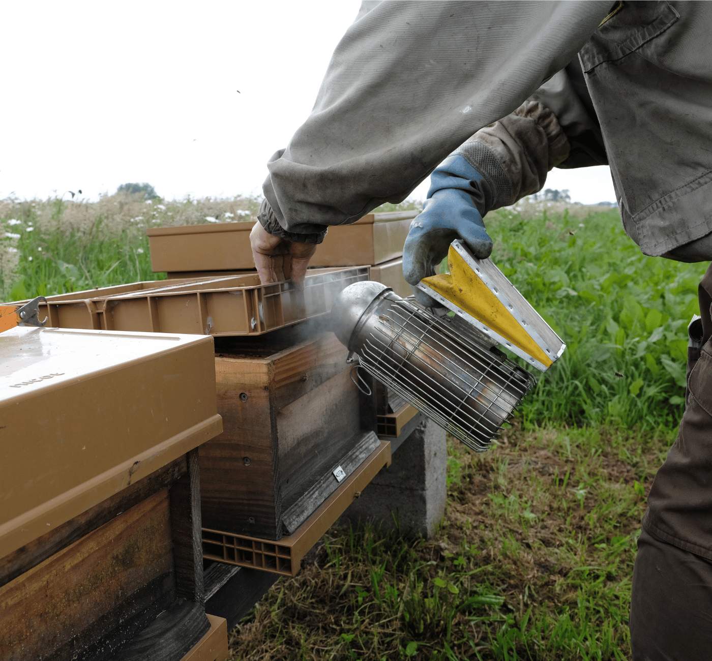 files/Bijenkasten_stomen_Bestuiving_Brabant.jpg