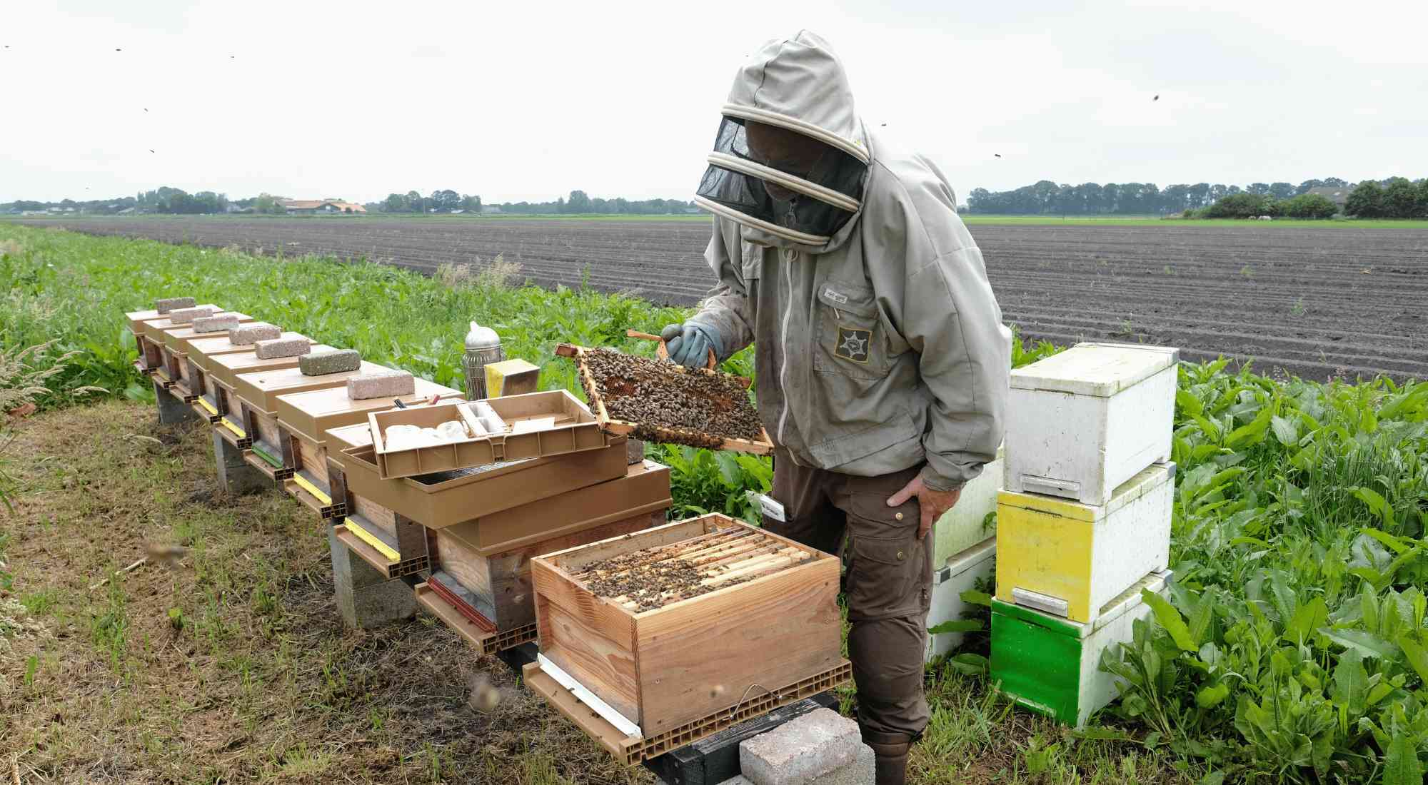 Imker Ivar bij Bijenkasten van Bestuiving Brabant